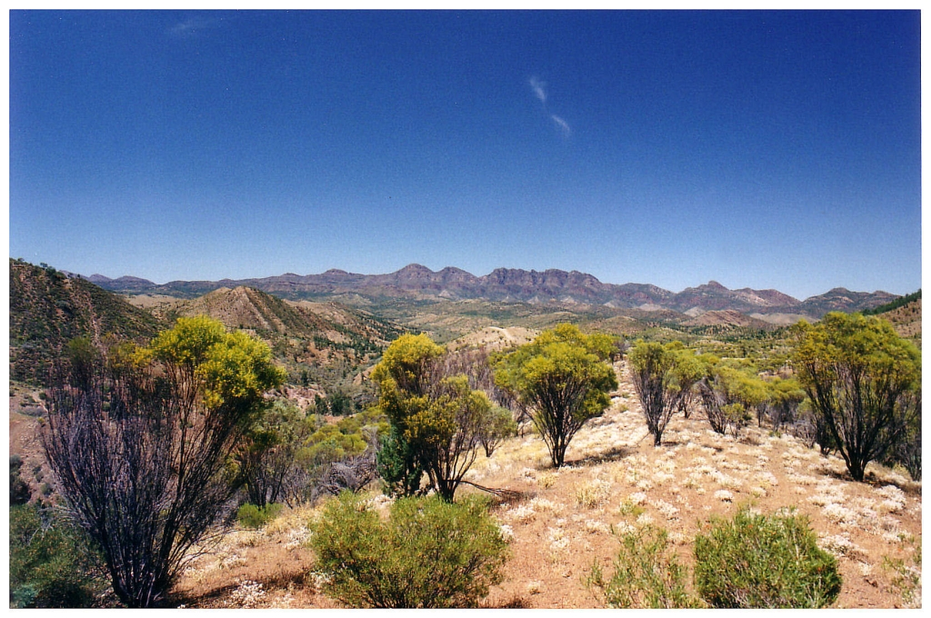 03 - The Flinders Ranges (19).jpg
